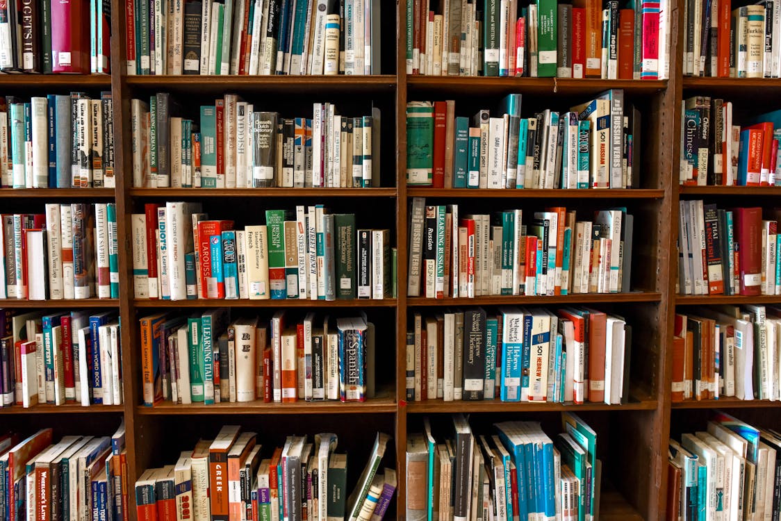 Assorted Books on Book Shelves