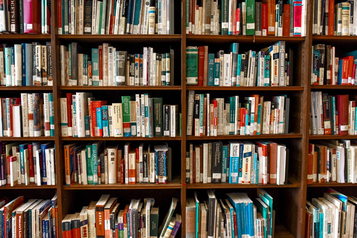 Students and professionals in Germany