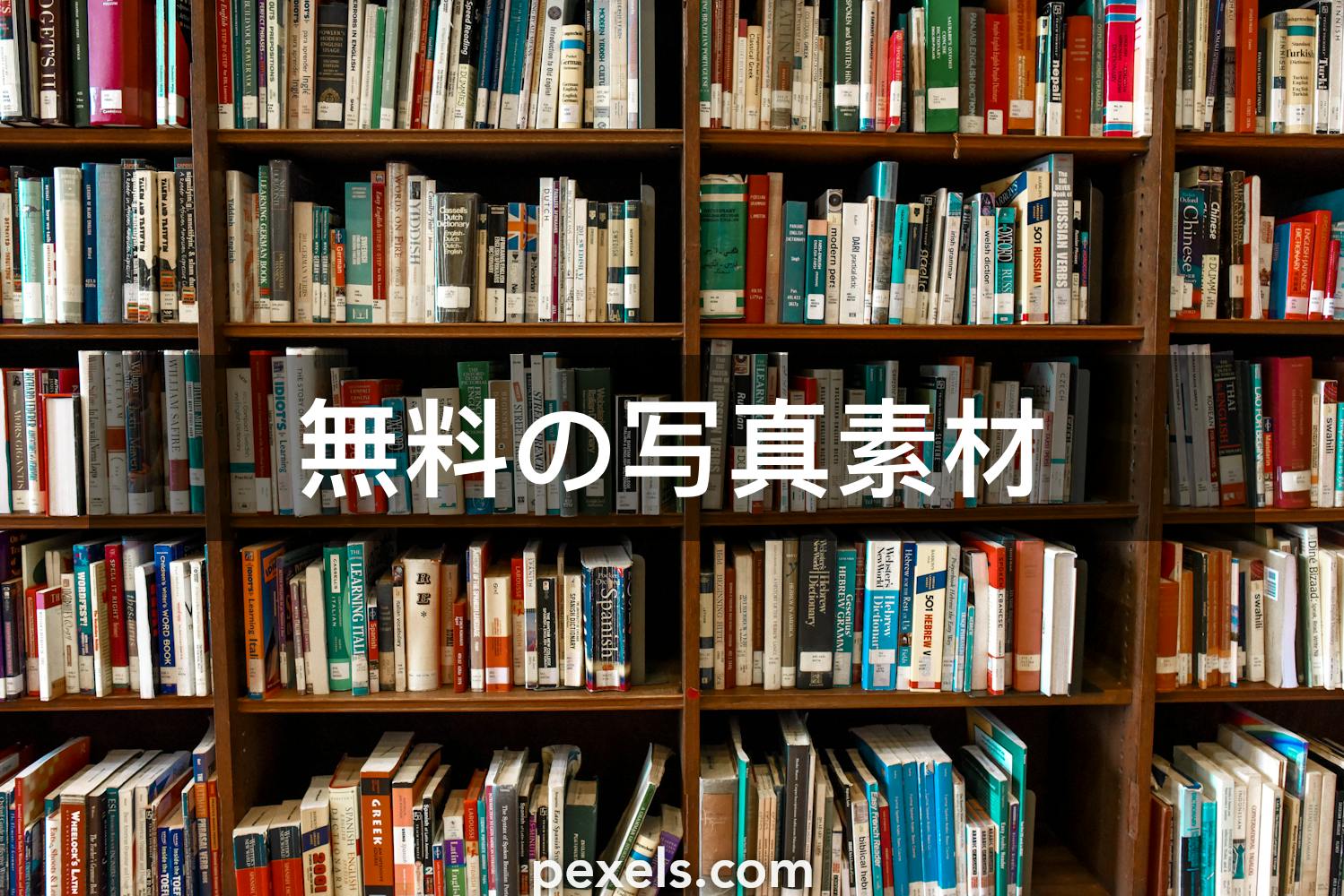 41 523 以上の無料本棚画像