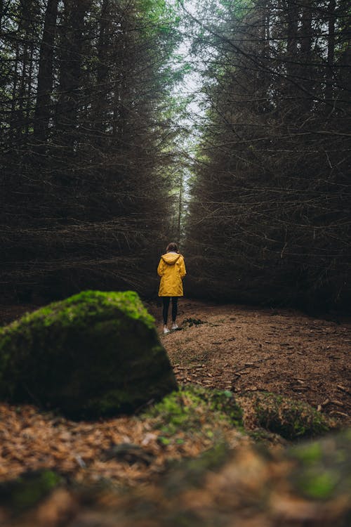 Back View of Person Person in Yellow Hoodie Jacket Standing in the Forest 