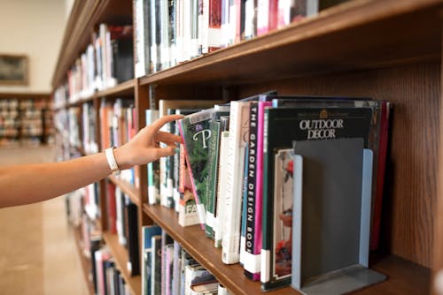 Free Person Holding Book from Shelf Stock Photo