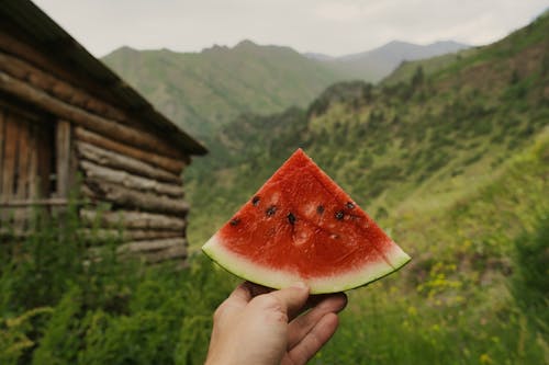 Slice of Watermelon in Close Up Photography