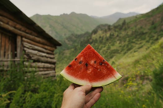 Close-up of a hand holding a fresh watermelon slice against a green mountainous backdrop.