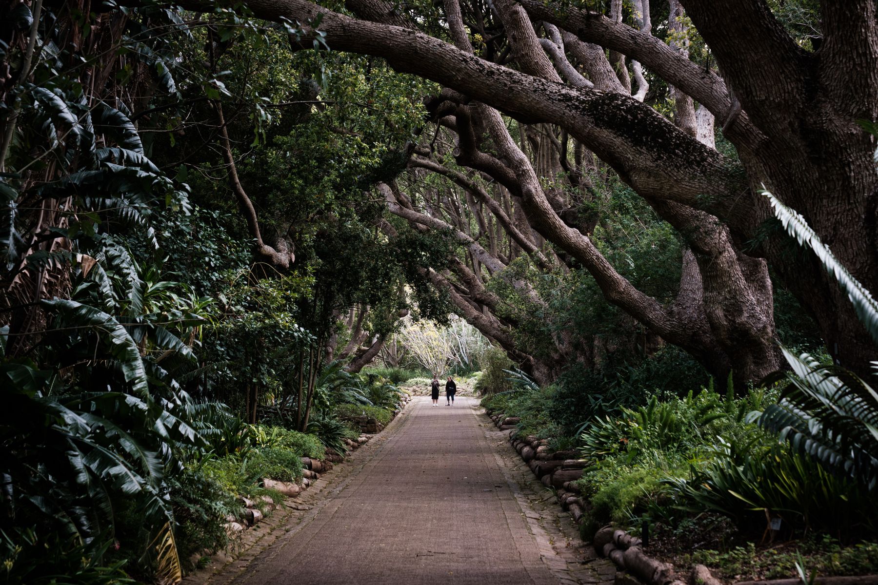 Claremont with Kids: A Family Guide to Cape Town's Southern Suburbs