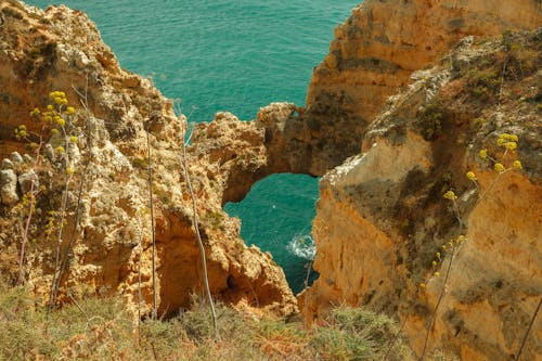 ponta da piedade, アーチ, ポルトガルの無料の写真素材