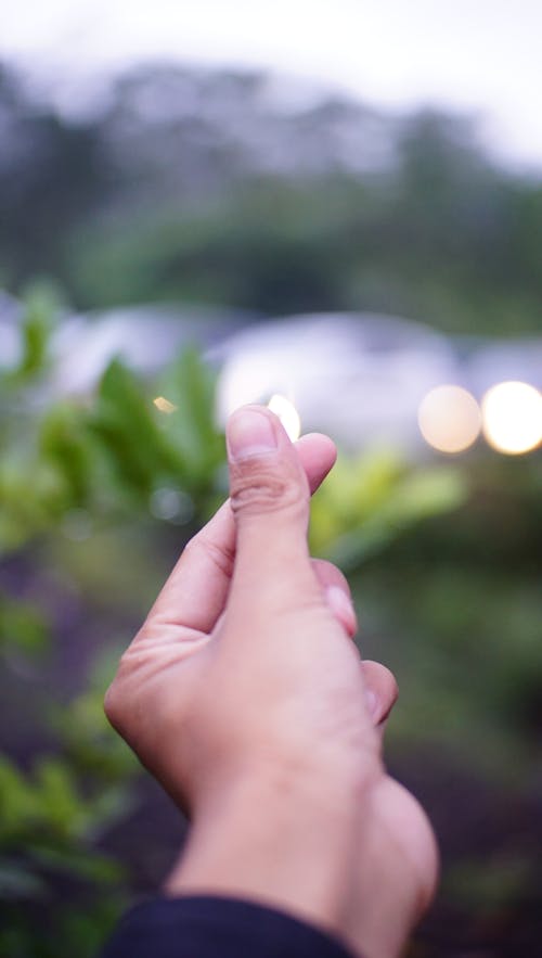 Close-up Shot of a Hand