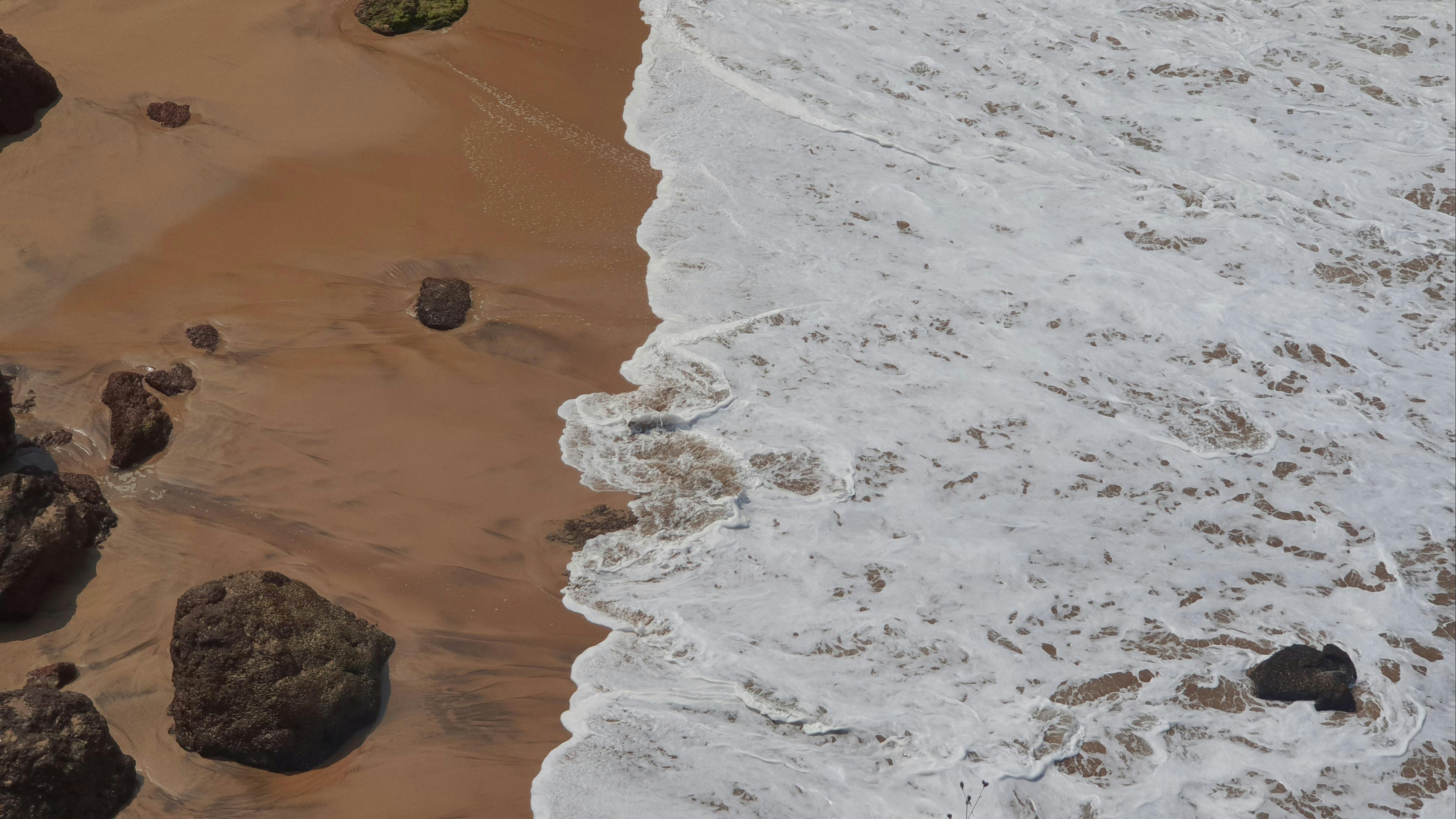 Large Rock Washed Ashore · Free Stock Photo