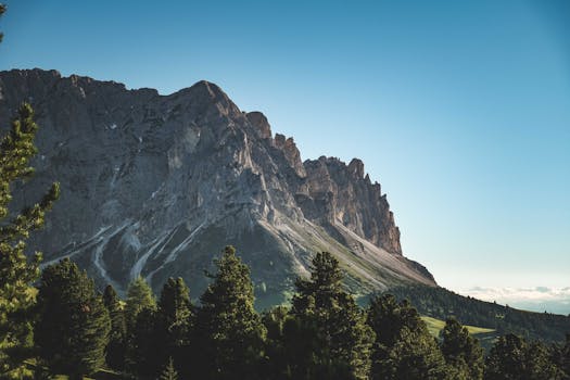 Scenic view of rugged mountains and lush forest under a clear blue sky.