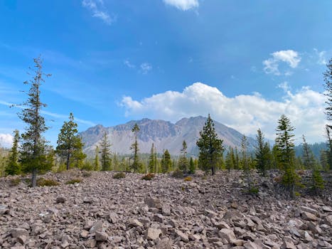 Volcanoes National Park, Rwanda photo 13
