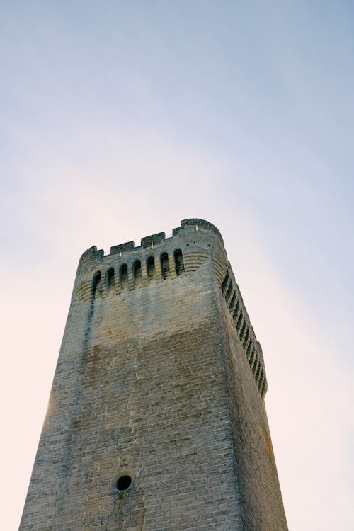 Tower of the Abbey of St. Peter in Montmajour, Provence, France