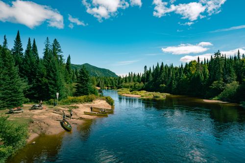 Free Serene river scene with coniferous forest in Mont-Tremblant, perfect for outdoor adventures. Stock Photo