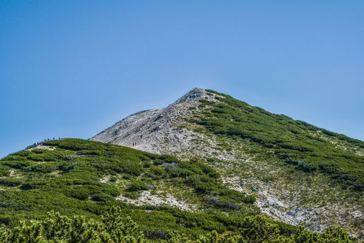Beautiful mountain covered in greenery under a clear blue sky, ideal for hiking enthusiasts.