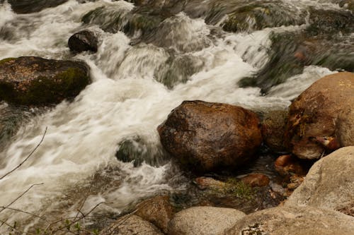 Ingyenes stockfotó fehér víz, lithia park, lithia patak témában