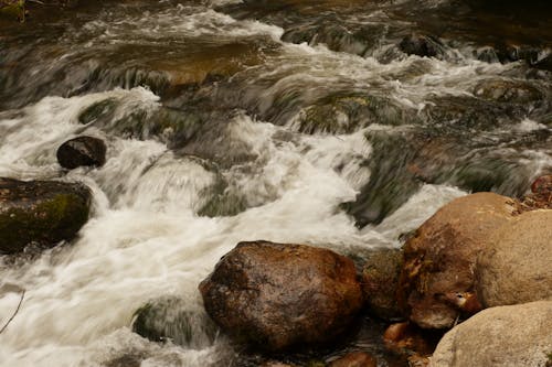 Ingyenes stockfotó fehér víz, lithia park, lithia patak témában