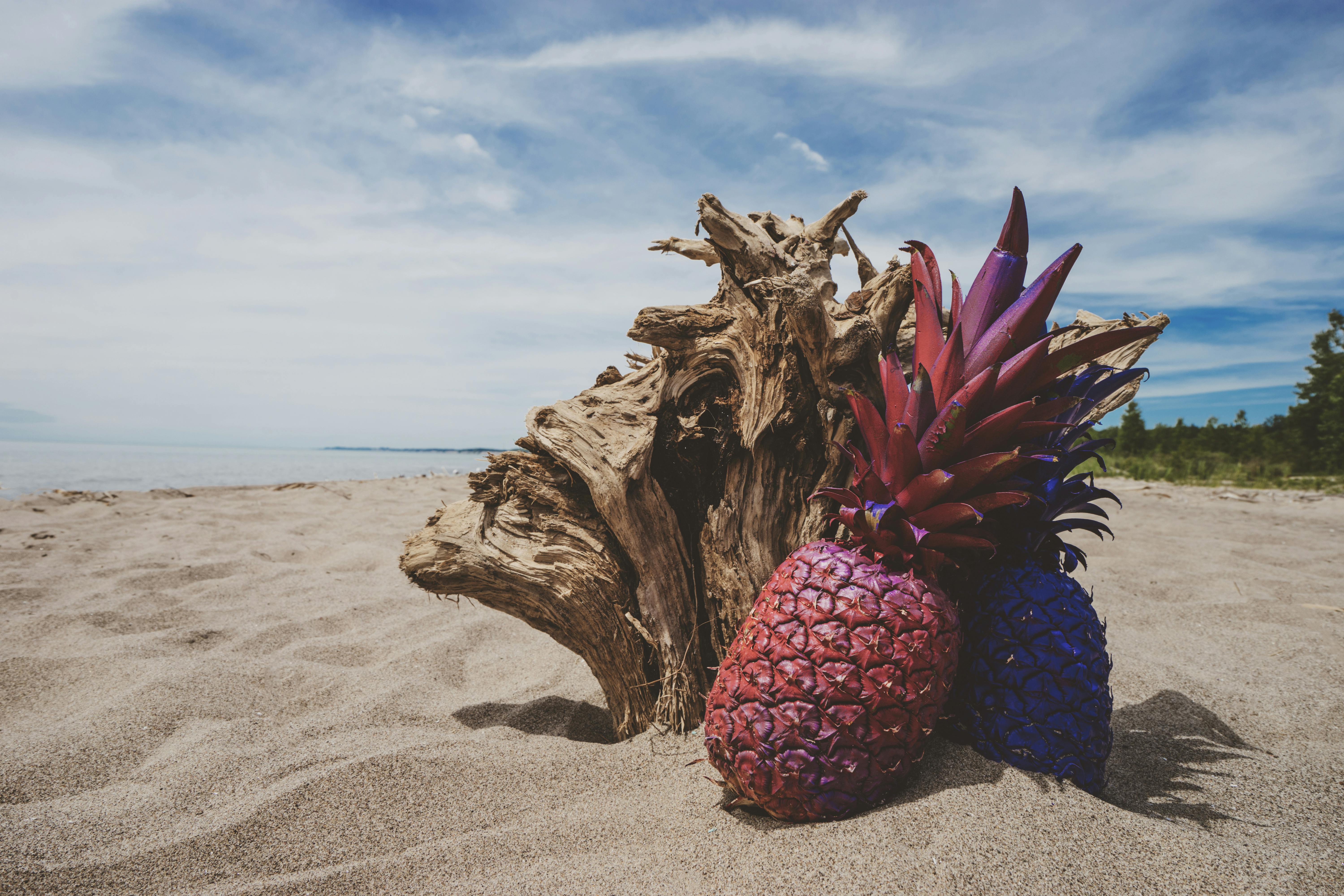 Kostenloses Foto Zum Thema Ananas Ananas Oben Flach Lag 9822