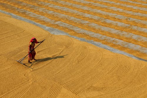 Woman Working with Rake on Sand Field