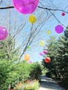 阳光明媚的公园里，花园小径上漂浮着充满活力的气球，营造出节日的夏日景象