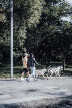 Two men strolling with dogs in a lush park, Ciudad de México, CDMX, México.