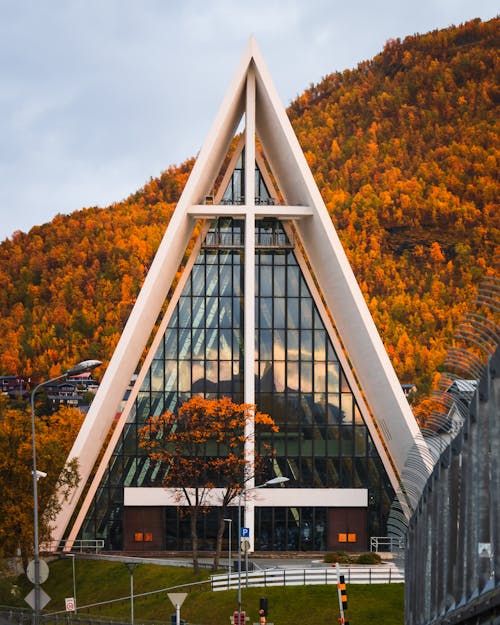 Darmowe zdjęcie z galerii z architektura, arktyczna katedra, brązowe drzewa