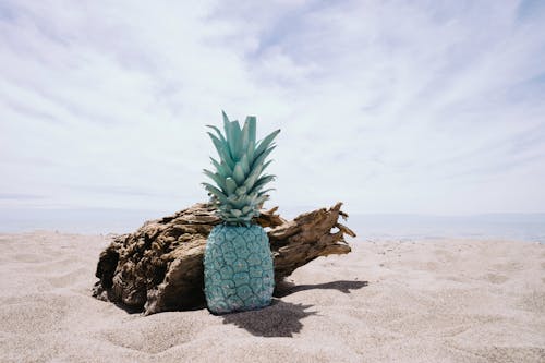 Kostnadsfri bild av ananas, horisont, moln