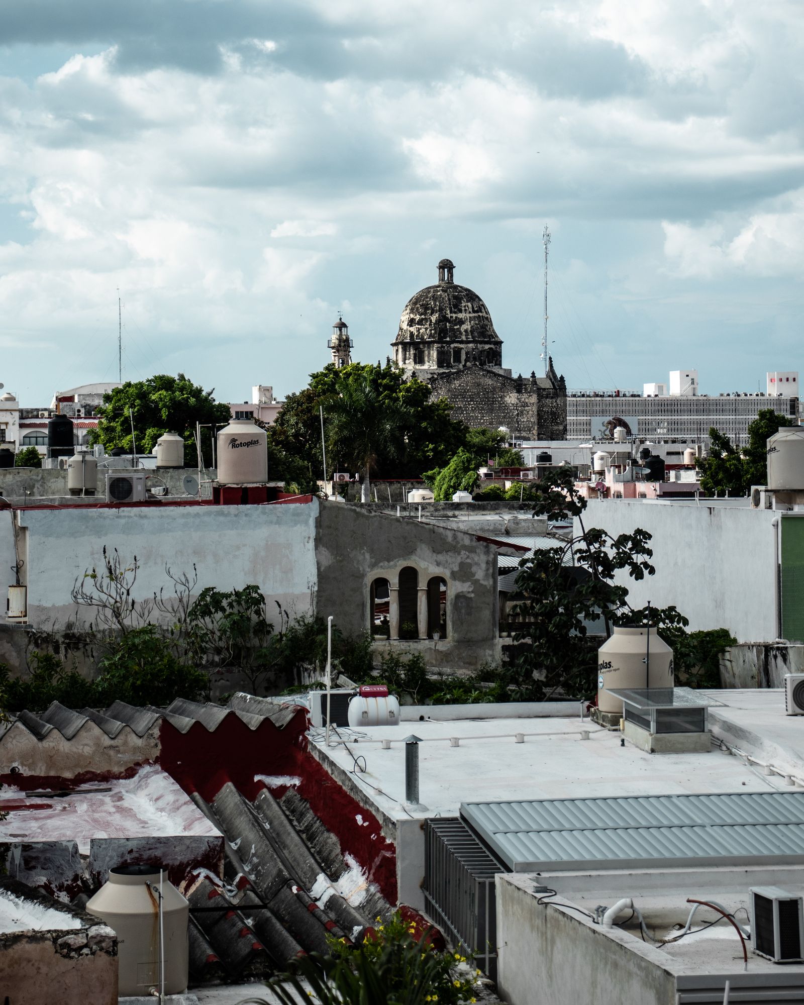 Cómo identificar la institución adecuada para tu problema legal