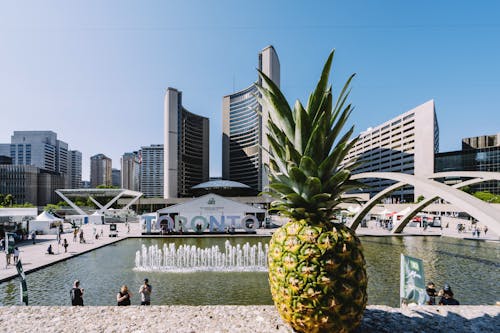 Pineapple on Gray Concrete Surface