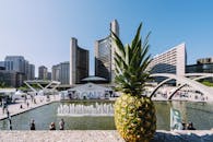 以多伦多城市景观和喷泉为背景，菠萝充满活力