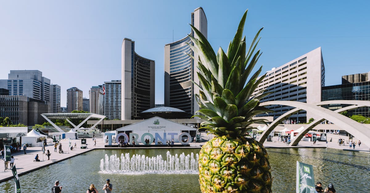 Free stock photo of city, downtown, fruit