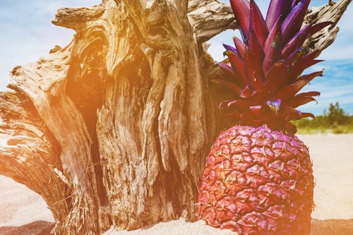 Kostnadsfri bild av ananas, sommar, sommartid