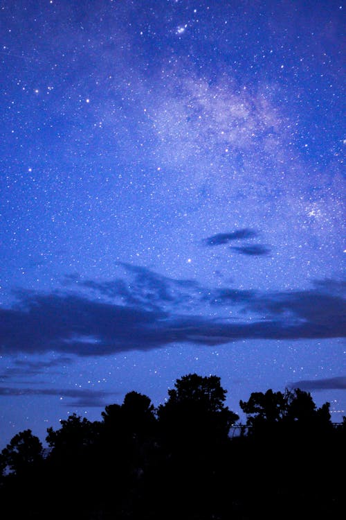 Scenic View of Blue Starry Sky at Night