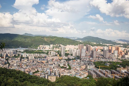 Foto profissional grátis de árvores, cidade, cidades