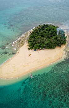 Aerial shot of a lush green island surrounded by clear turquoise waters and sandy shores.