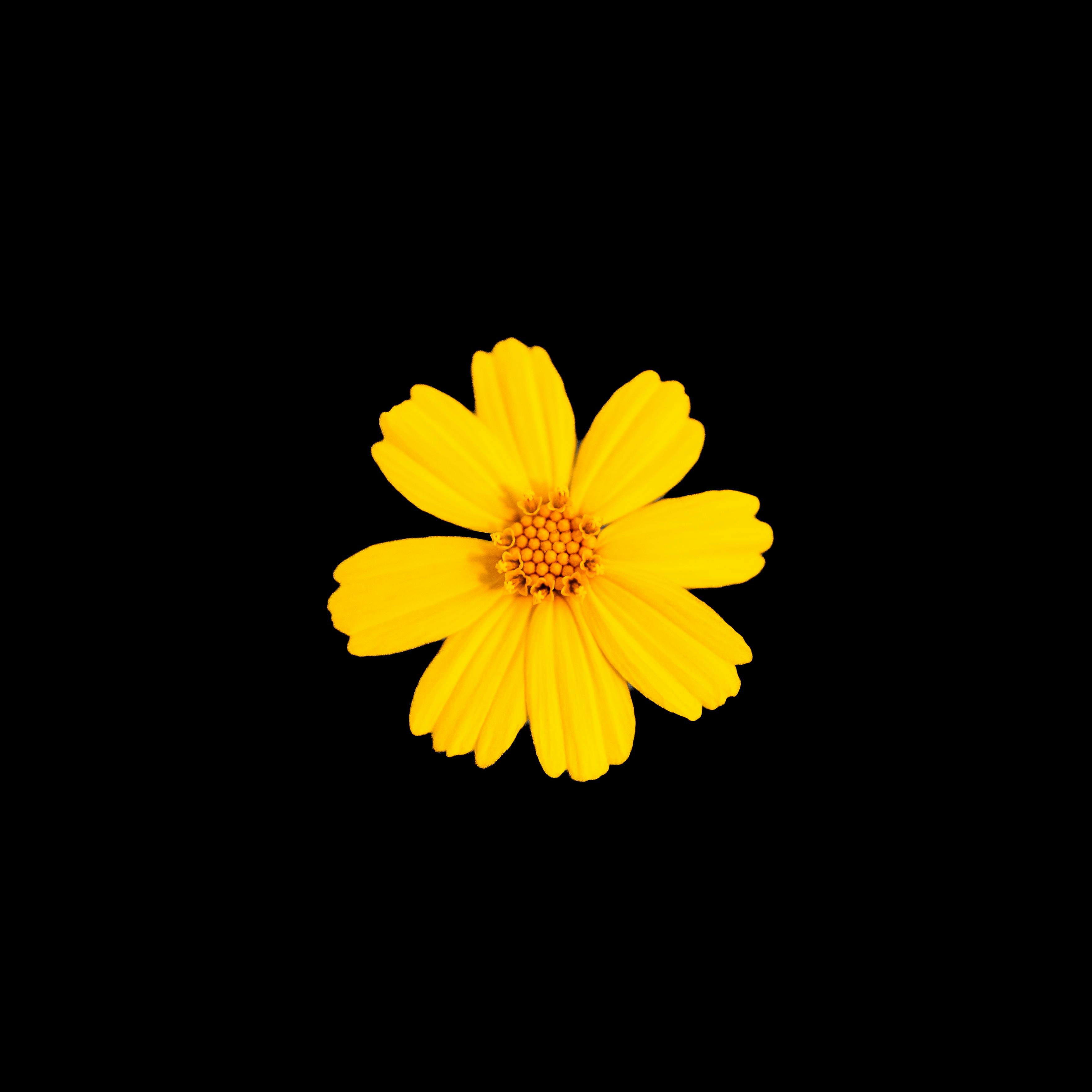 Caden Van Cleave Fotografía