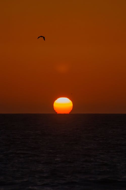 Foto profissional grátis de água, céu alaranjado, Hora dourada