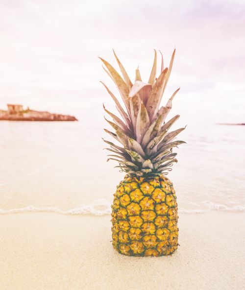 Free A lone pineapple stands on sandy shore with ocean waves, capturing tropical essence. Stock Photo