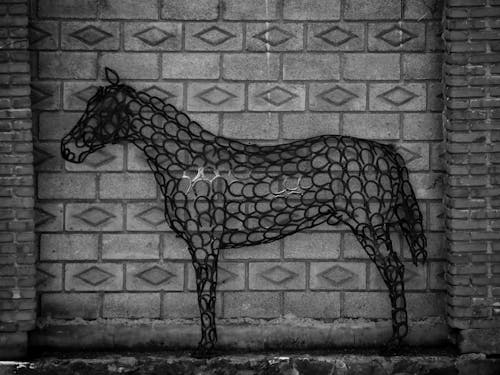 Δωρεάν στοκ φωτογραφιών με άλογο, ασπρόμαυρο, ζώο Φωτογραφία από στοκ φωτογραφιών