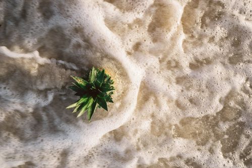 Free A vibrant pineapple crown floats amidst foamy ocean waves creating a tropical feel. Stock Photo