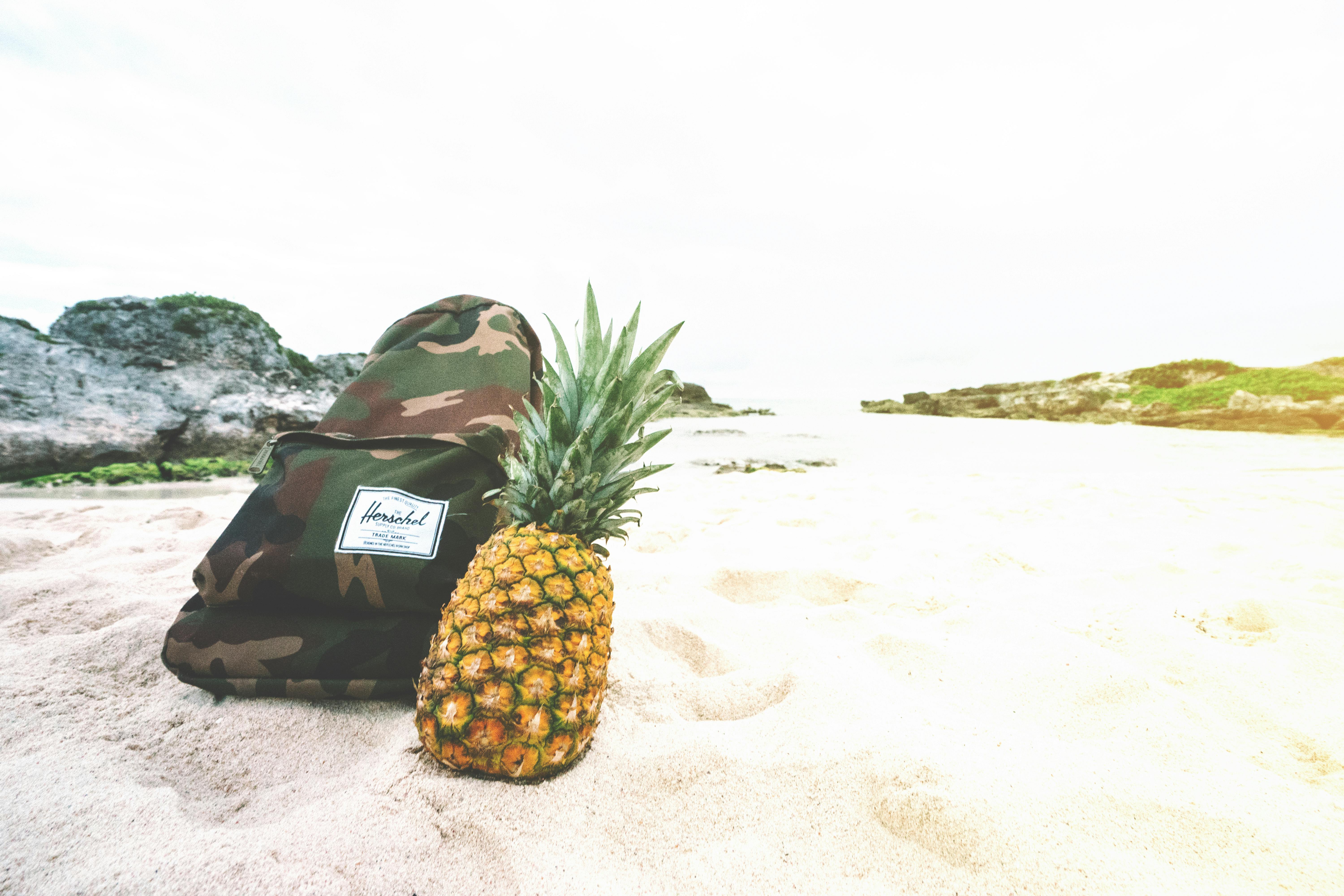 阳光明媚的海滩上，放着一个迷彩背包和一个成熟的菠萝