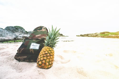 grátis Frutas Abacaxi Ao Lado Da Mochila Na Areia Branca Foto profissional