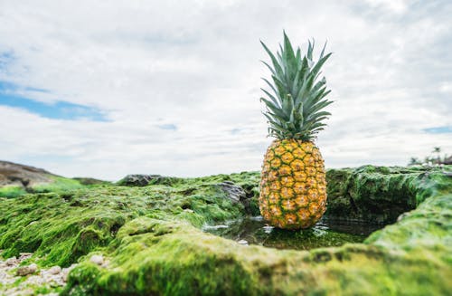 Free Yellow Pineapple Stock Photo