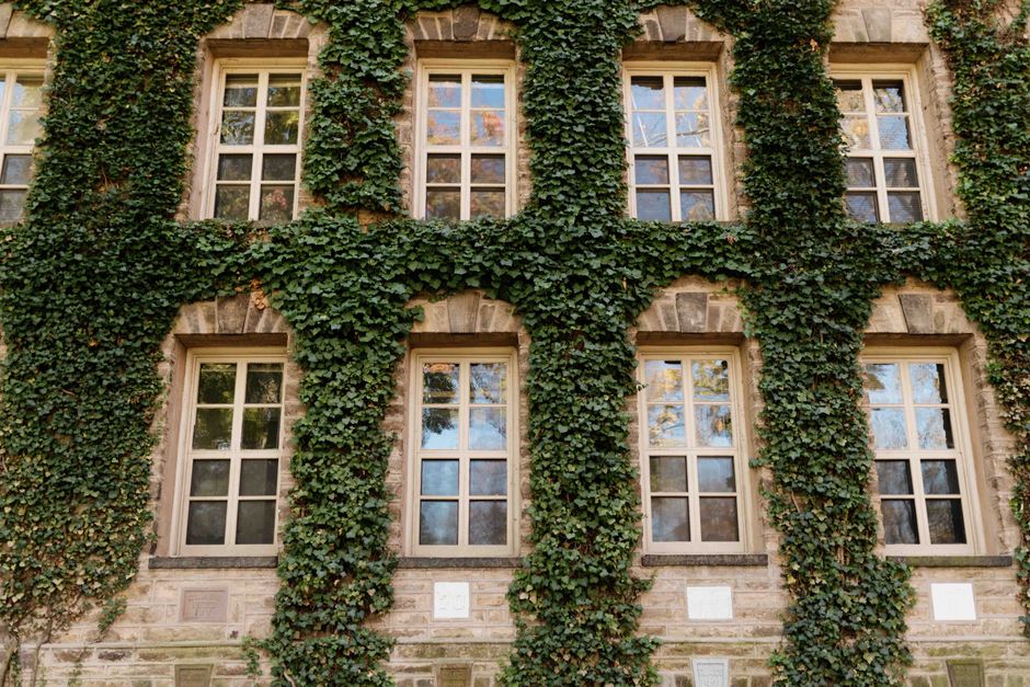 A historic building facade covered in ivy with multiple windows, showcasing architectural beauty.