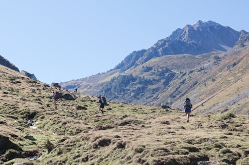 People with Backpacks Walking on Green Mountains