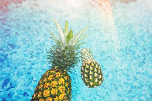 水體上的兩個菠蘿