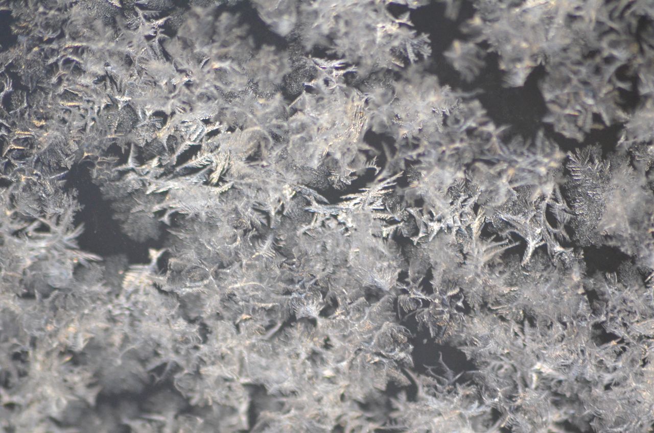 close up view of frost crystals on a surface showcasing intricate icy