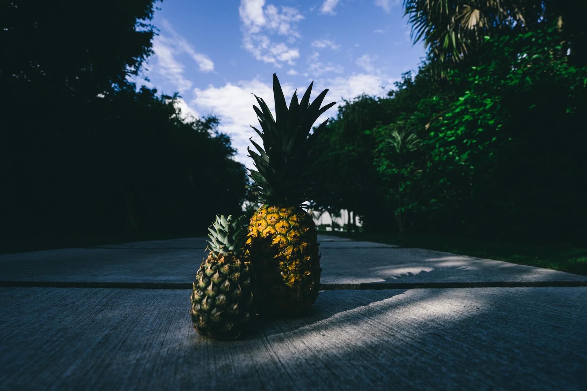 Two Pineapples on Gray Surface Outdoors
