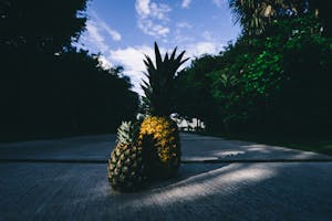 Two Pineapples on Gray Surface Outdoors
