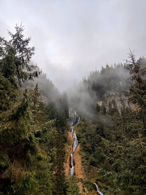 Scenic Shot of the Cascade Cailor in Romania