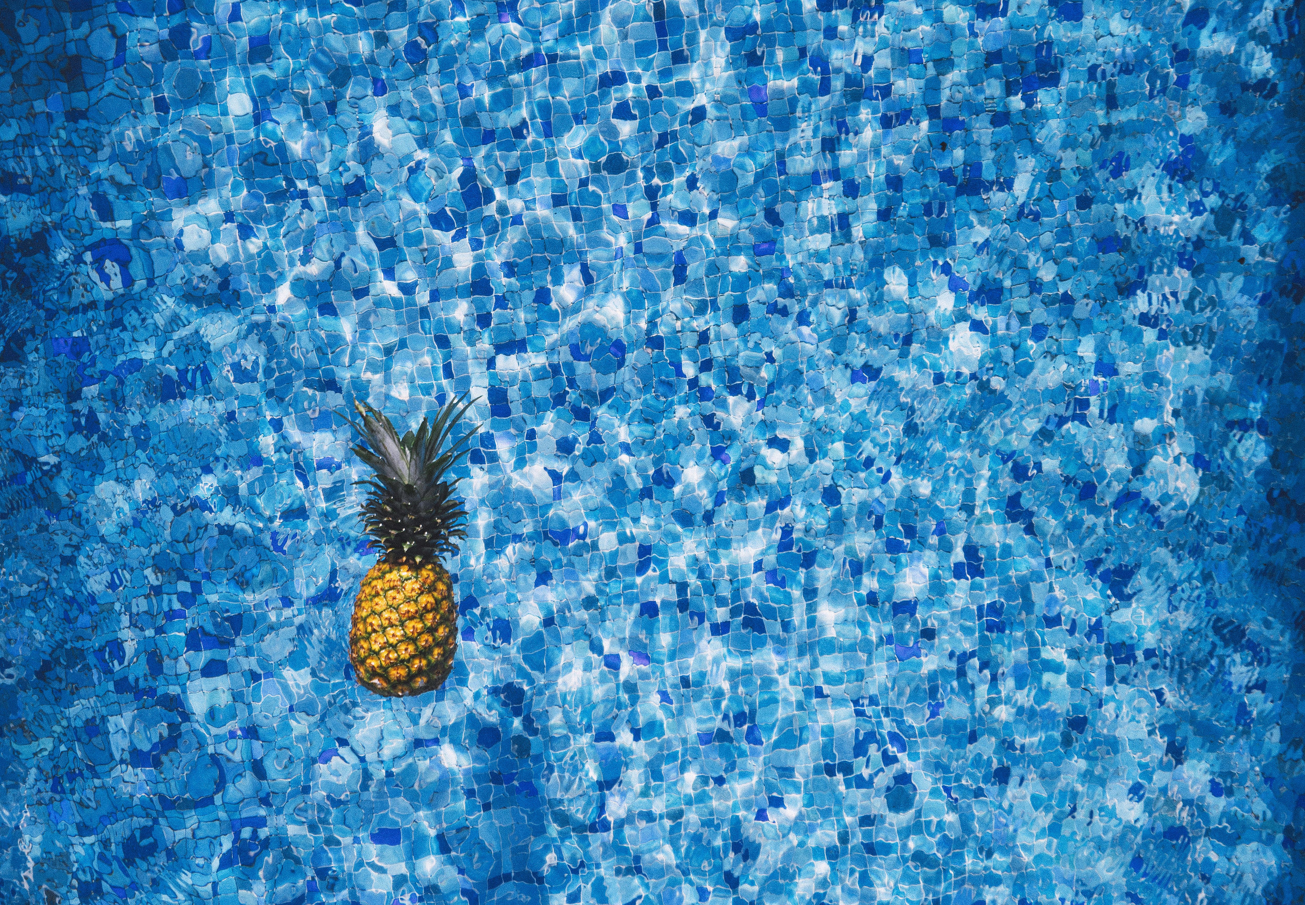 pexels-photo-137141.jpeg?cs=srgb&dl=pexels-pineapple-supply-co-137141.jpg&fm=jpg&_gl=1*jpfcil*_ga*NjYxNjQxMDU1LjE2NjUxMjg2MzI.*_ga_8JE65Q40S6*MTY4ODU1ODAyMS43LjEuMTY4ODU1ODAzNC4wLjAuMA..