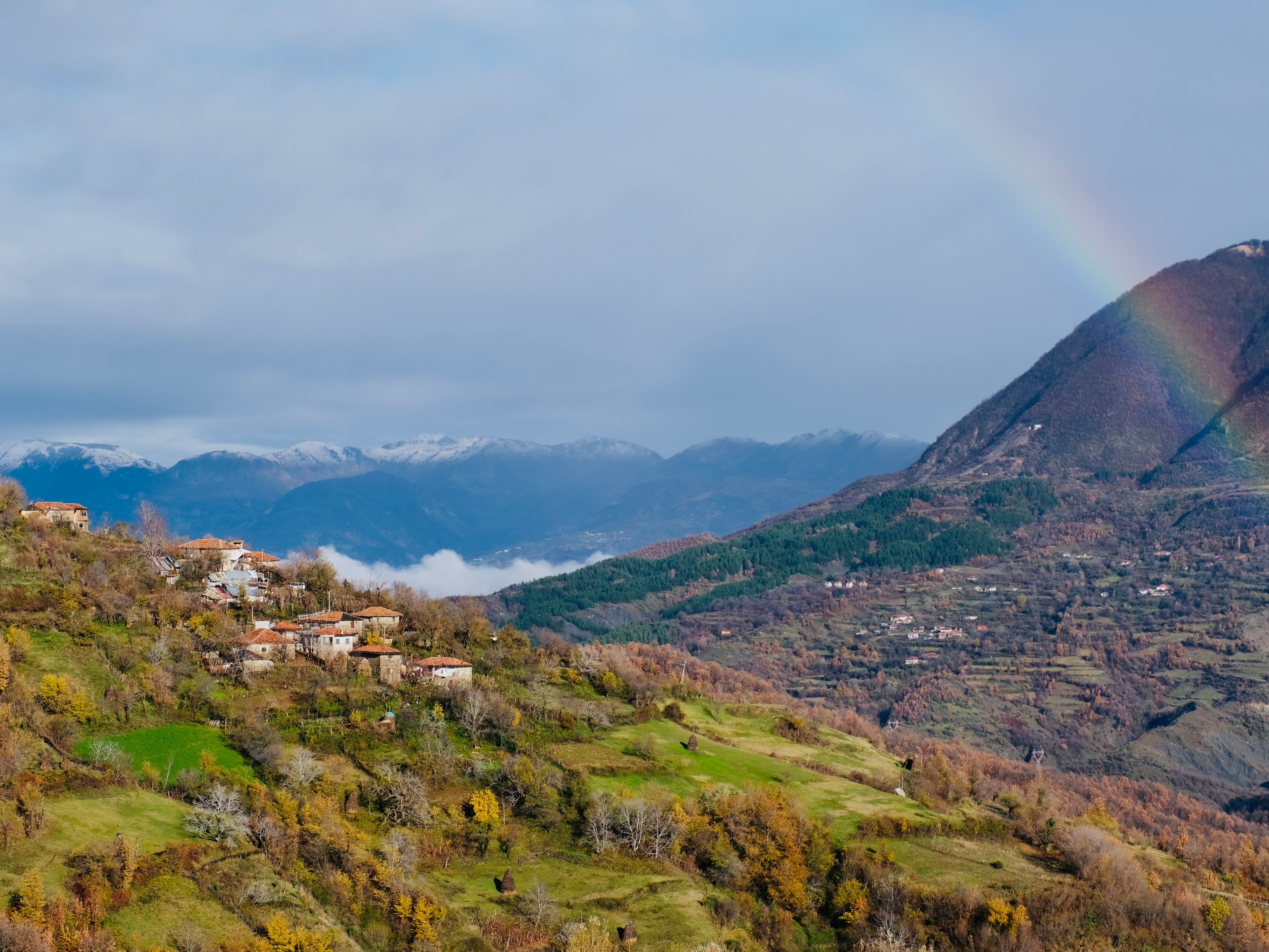 eirapedrina-mejores-campings-casas-rurales-perros-ciudad