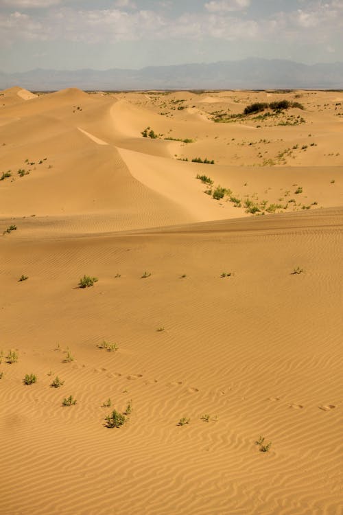 Základová fotografie zdarma na téma osoba, písečné duny, písek